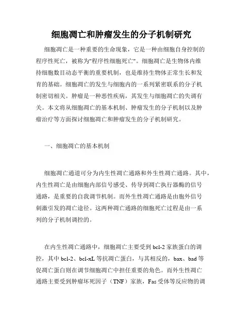 细胞凋亡和肿瘤发生的分子机制研究