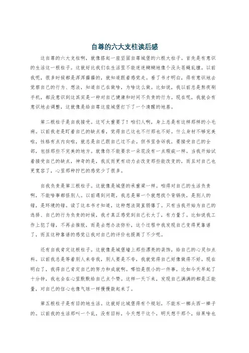 自尊的六大支柱读后感