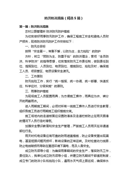 防洪防汛措施（精选5篇）