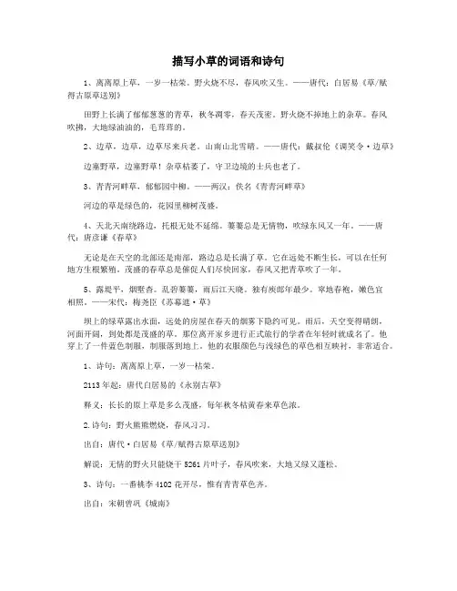 描写小草的词语和诗句