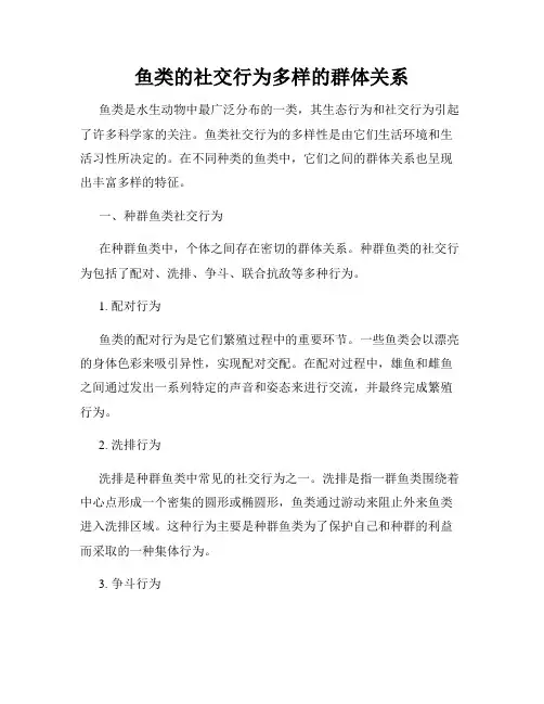 鱼类的社交行为多样的群体关系