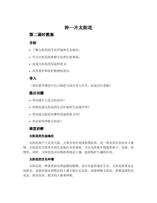 《种一片太阳花》第二课时教案