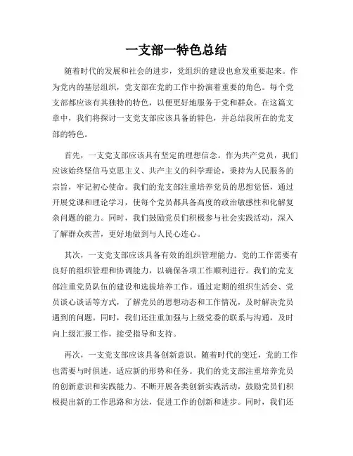 一支部一特色总结