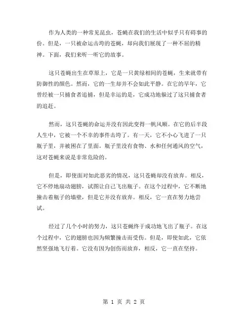 坚强的苍蝇作文范文