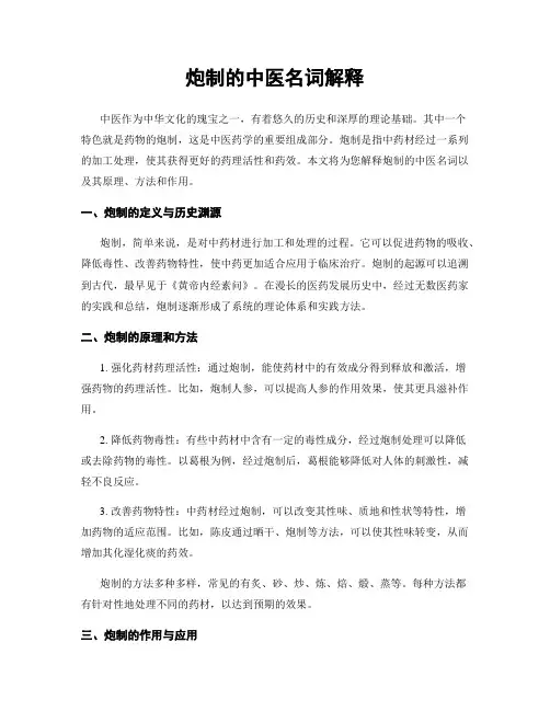 炮制的中医名词解释
