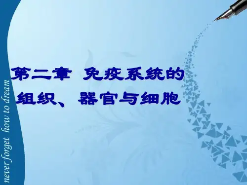 免疫系统的组织器官与细胞ppt课件-PPT课件