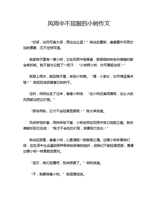 风雨中不屈服的小树作文