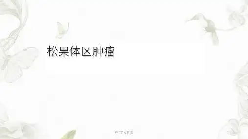 松果体区肿瘤PPT课件