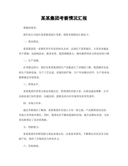 某某集团考察情况汇报