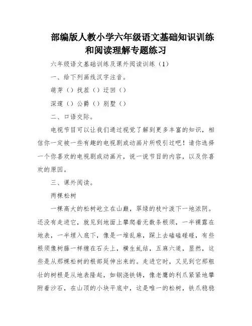 部编版人教小学六年级语文基础知识训练和阅读理解专题练习