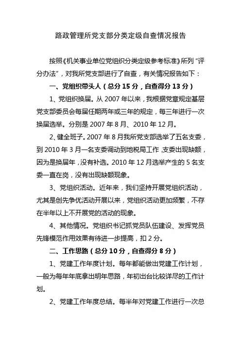党支部分类定级自查情况报告