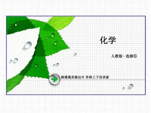 (人教)高中化学选修5课件：第1章第2节第2课时有机化合物的同分异构现象