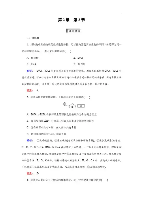 (人教版)高中生物必修一：2.3《遗传信息的携带者——核酸》练习(附答案)