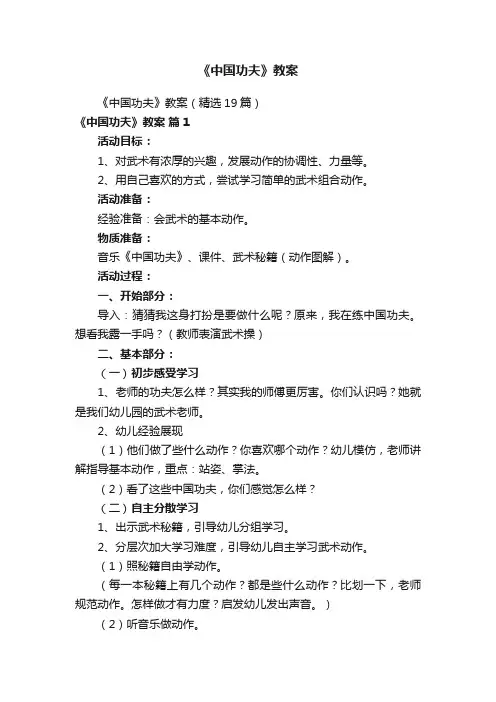 《中国功夫》教案