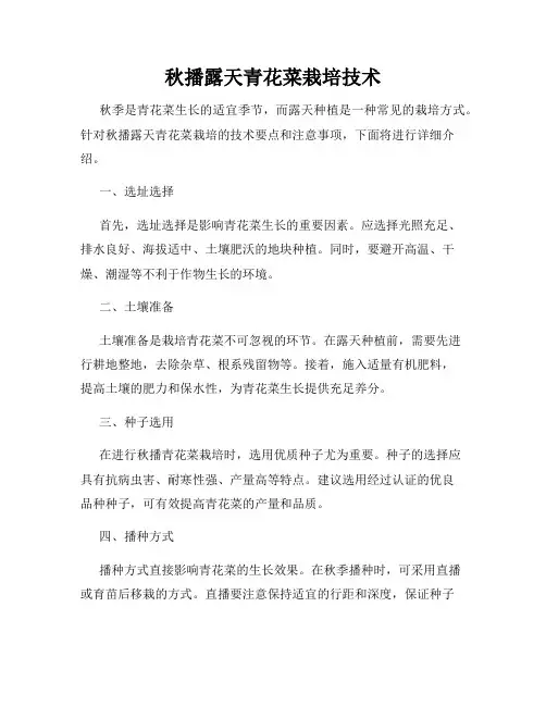 秋播露天青花菜栽培技术