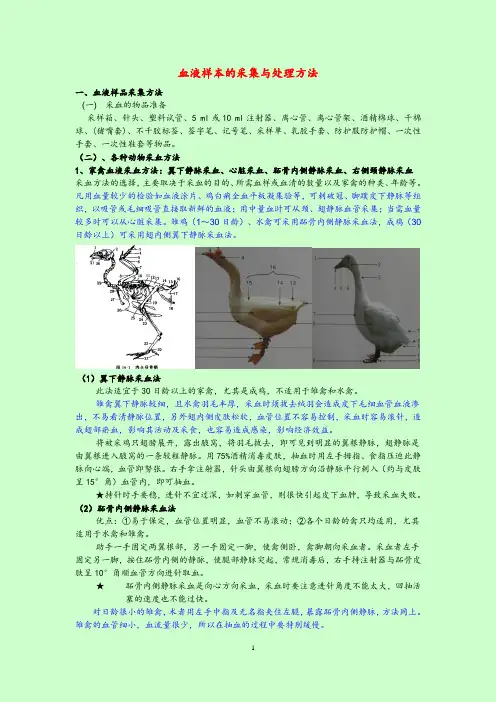 血液样本的采集与处理方法