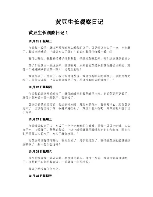 黄豆生长观察日记