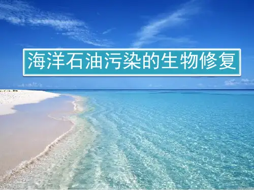 海洋石油污染的生物降解