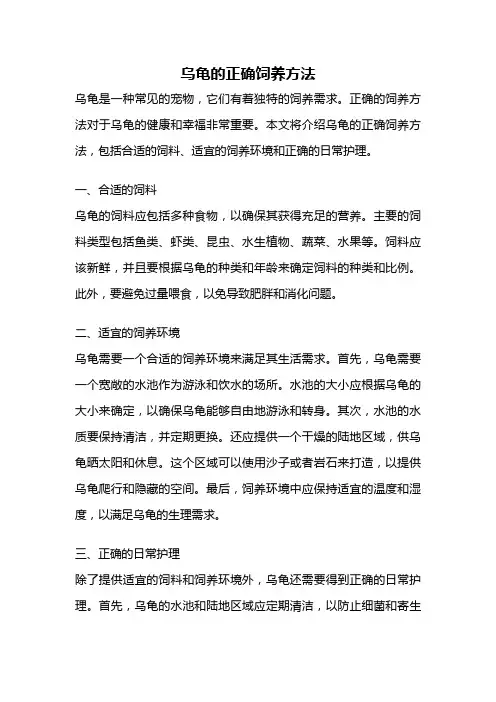 乌龟的正确饲养方法