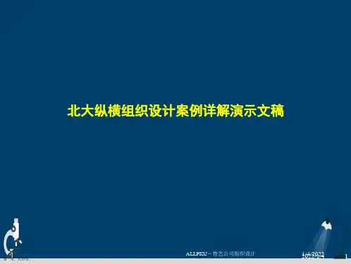 北大纵横组织设计案例详解演示文稿