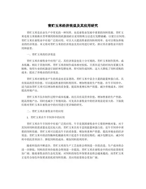 青贮玉米经济效益及其应用研究