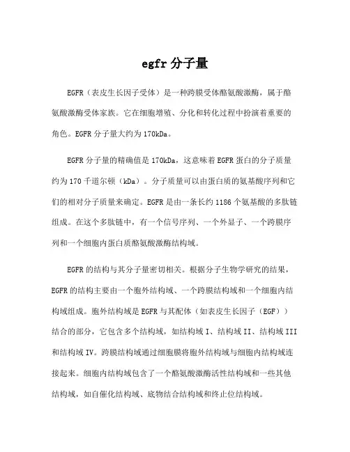 egfr分子量