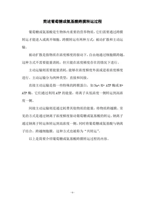 简述葡萄糖或氨基酸跨膜转运过程