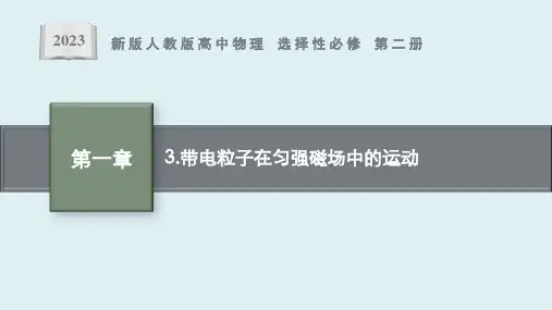 第1章 3 《带电粒子在匀强磁场中的运动》课件ppt