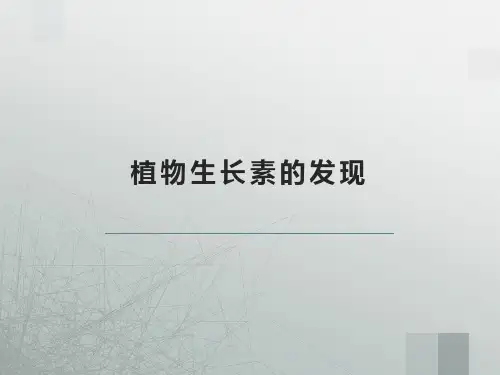植物生长素的发现说课课件-高二上学期生物人教版必修3