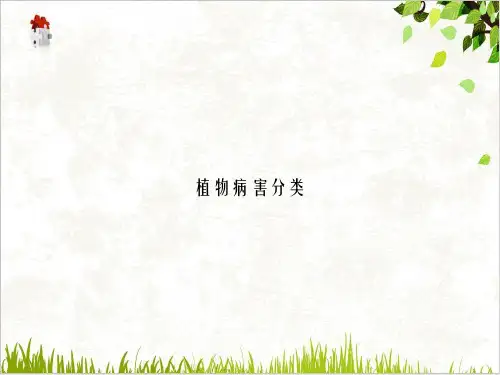 植物病害分类PPT.
