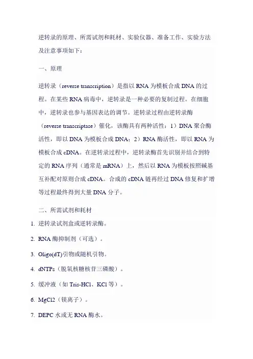 逆转录 Protocol