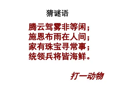 中华第一龙