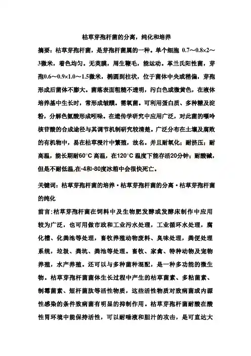 枯草芽孢杆菌的分离