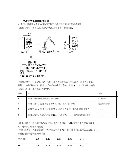 中考化学压轴题之探究题(中考题型整理,突破提升)附答案