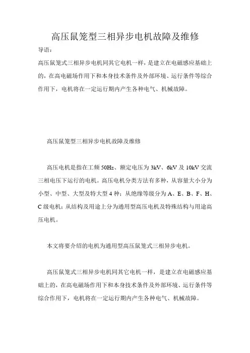 高压鼠笼型三相异步电机故障及维修