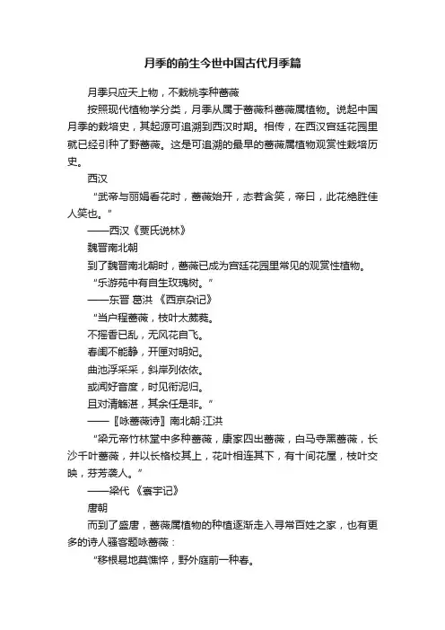 月季的前生今世中国古代月季篇