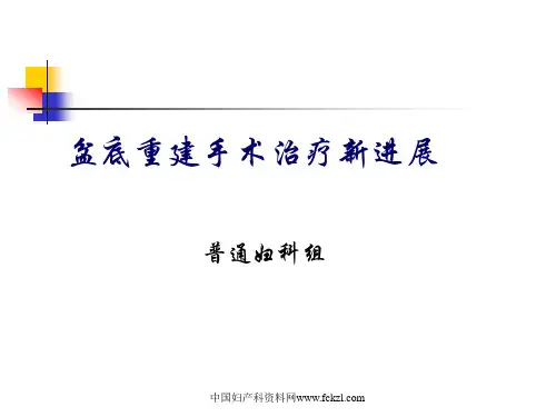 盆底重建手术治疗新进展概要