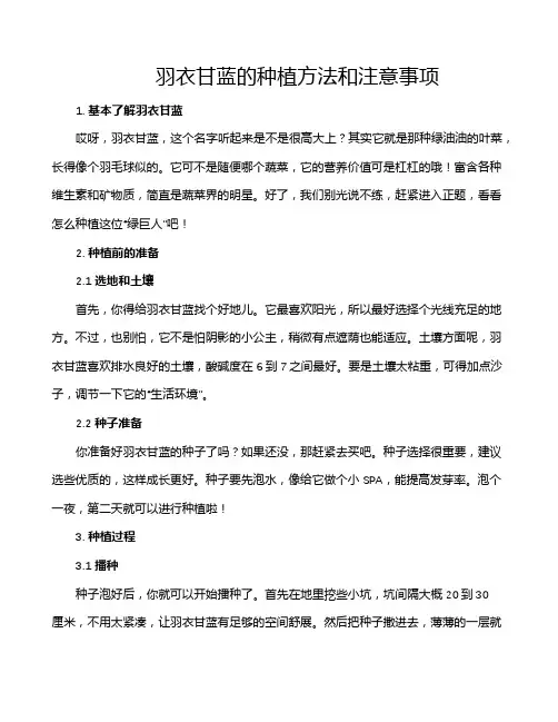 羽衣甘蓝的种植方法和注意事项