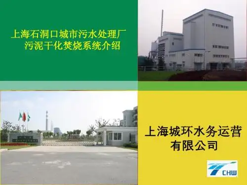 上海石洞口污泥焚烧报告