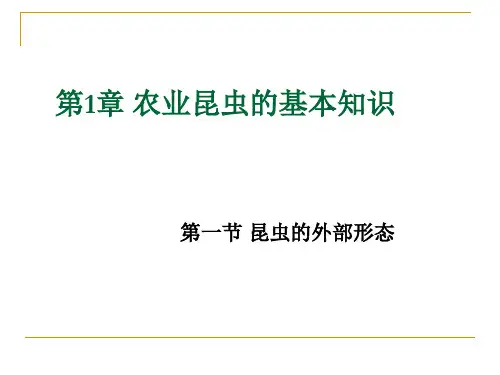 农业昆虫的基本知识