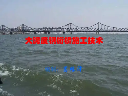 大跨度钢桁桥施工技术.ppt课件