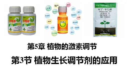 【课件】植物生长调节剂的应用课件高二上学期生物人教版选择性必修1