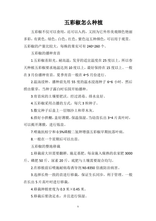 五彩椒怎么种植
