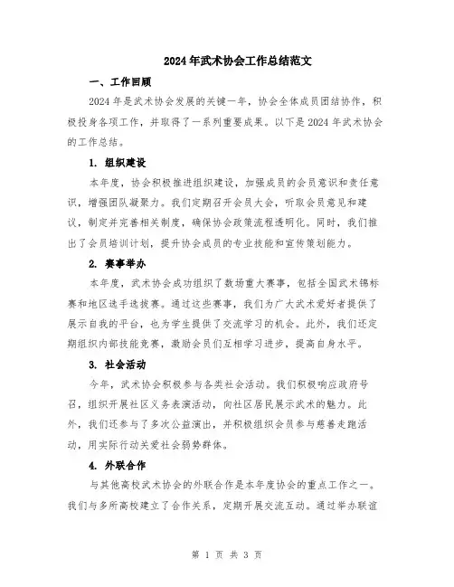 2024年武术协会工作总结范文