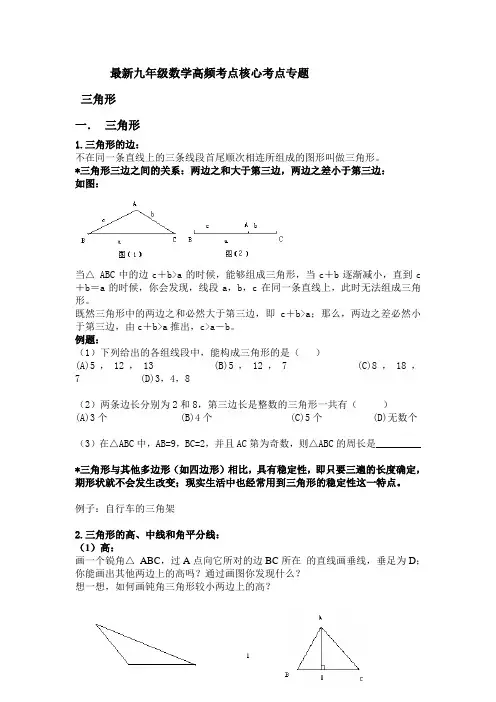 最新九年级数学高频考点核心考点专题  三角形