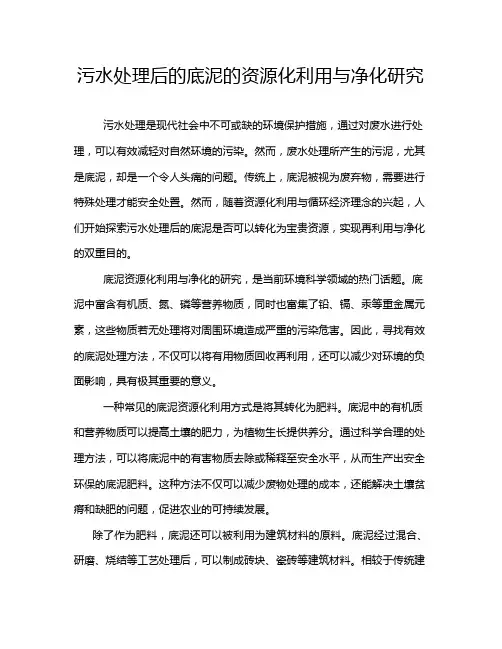 污水处理后的底泥的资源化利用与净化研究