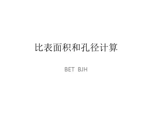 BET比表面积和孔径解析