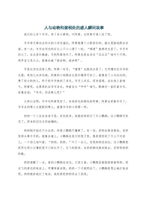 人与动物和谐相处的感人瞬间故事