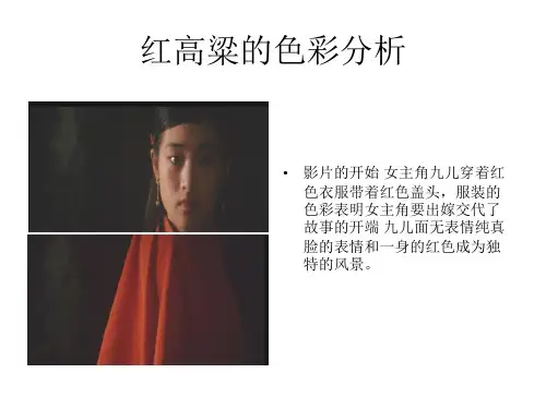 《红高粱》色彩分析