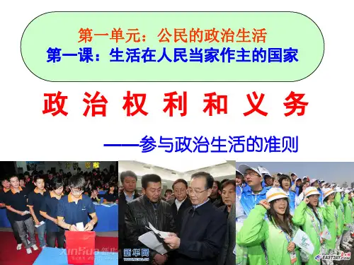 参与政治生活的基础和准则